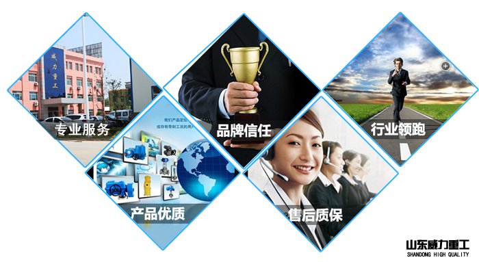 315噸大臺面液壓機廠家